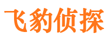 孝南私家调查公司